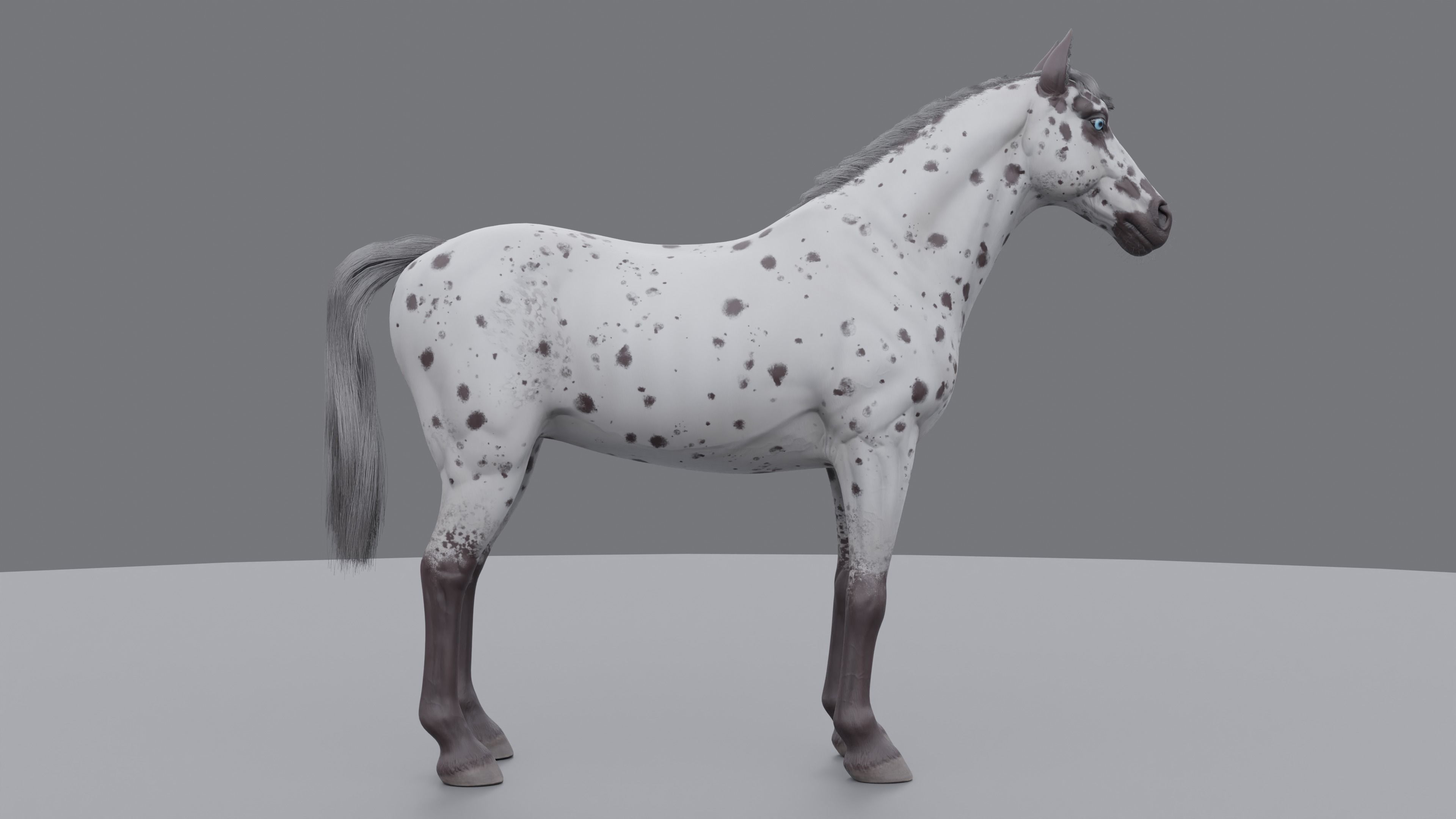 PBR Rigged Horse 4 styles 3D model_27