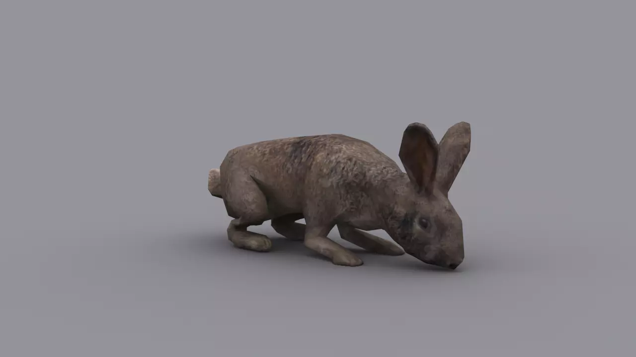 RABBIT GAME READY ANIMATED MODEL Low-poly 3D model_0