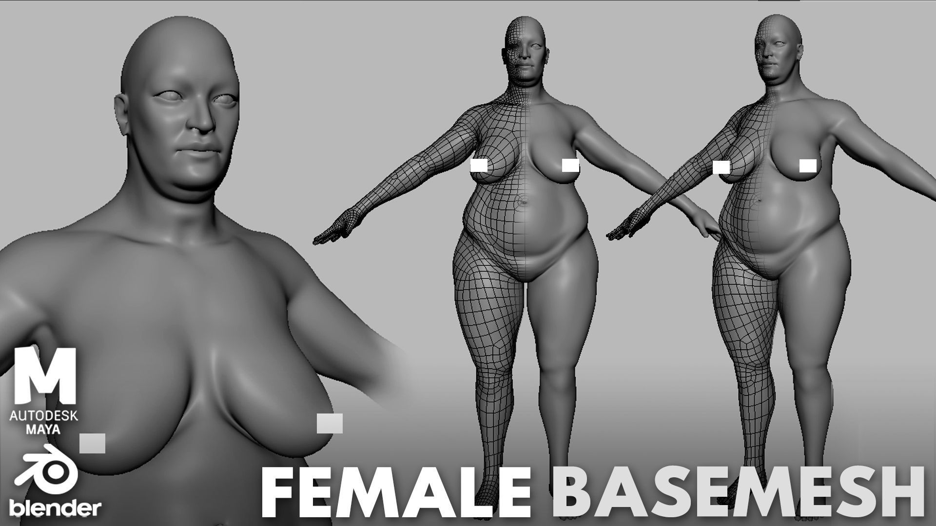 Fat Male n Female BaseMesh 3D Model Collection_2