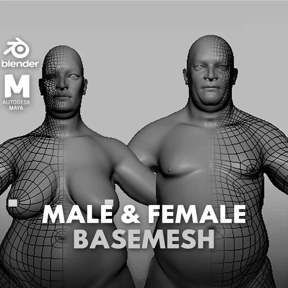 Fat Male n Female BaseMesh 3D Model Collection_0