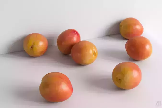 Plum  3D model