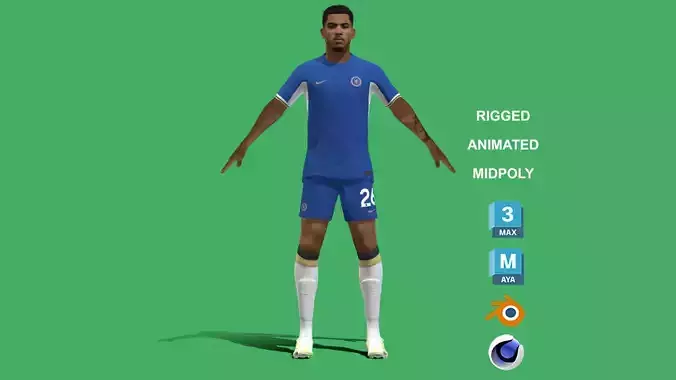 3D Rigged Levi Colwill Chelsea 2024 3D model