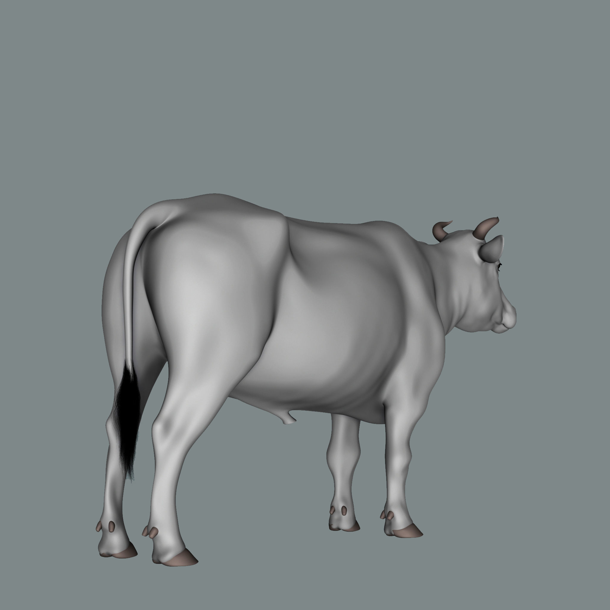 Bull  3d Model 3D model_3