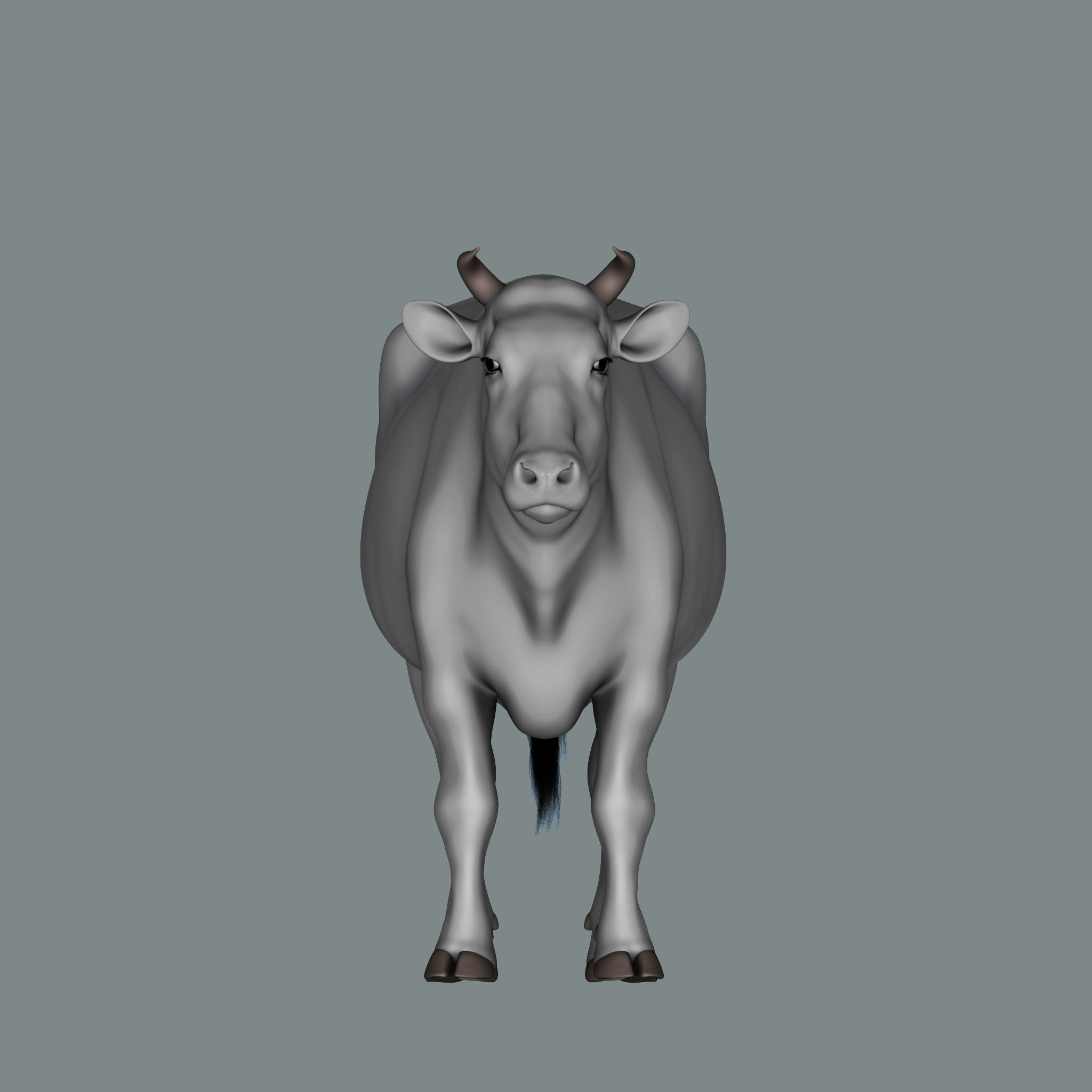 Bull  3d Model 3D model_6