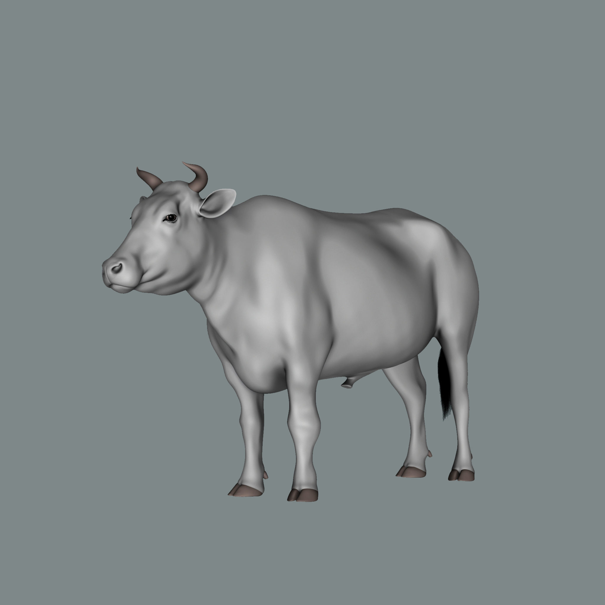 Bull  3d Model 3D model_1
