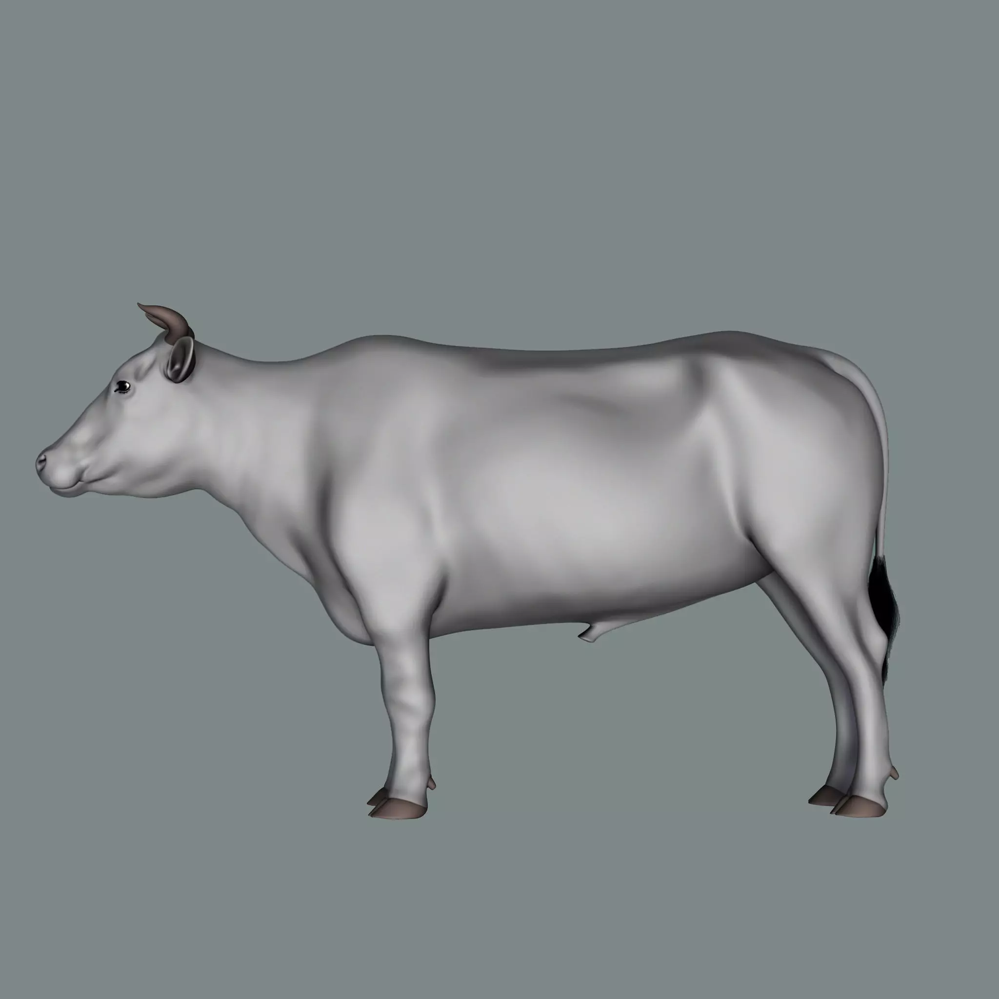 Bull  3d Model 3D model_0