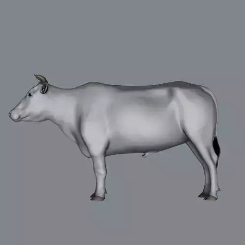 Bull  3d Model