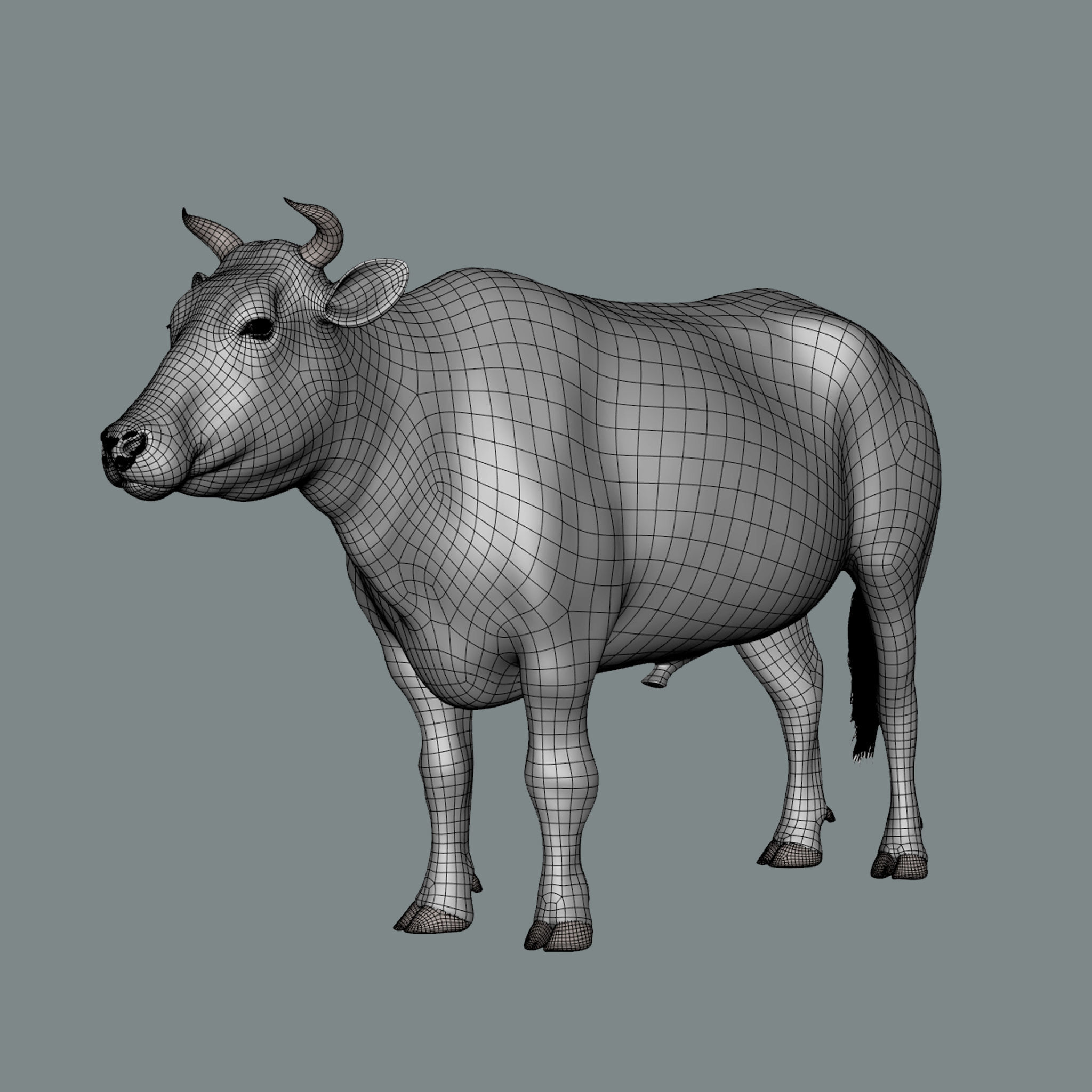 Bull  3d Model 3D model_9