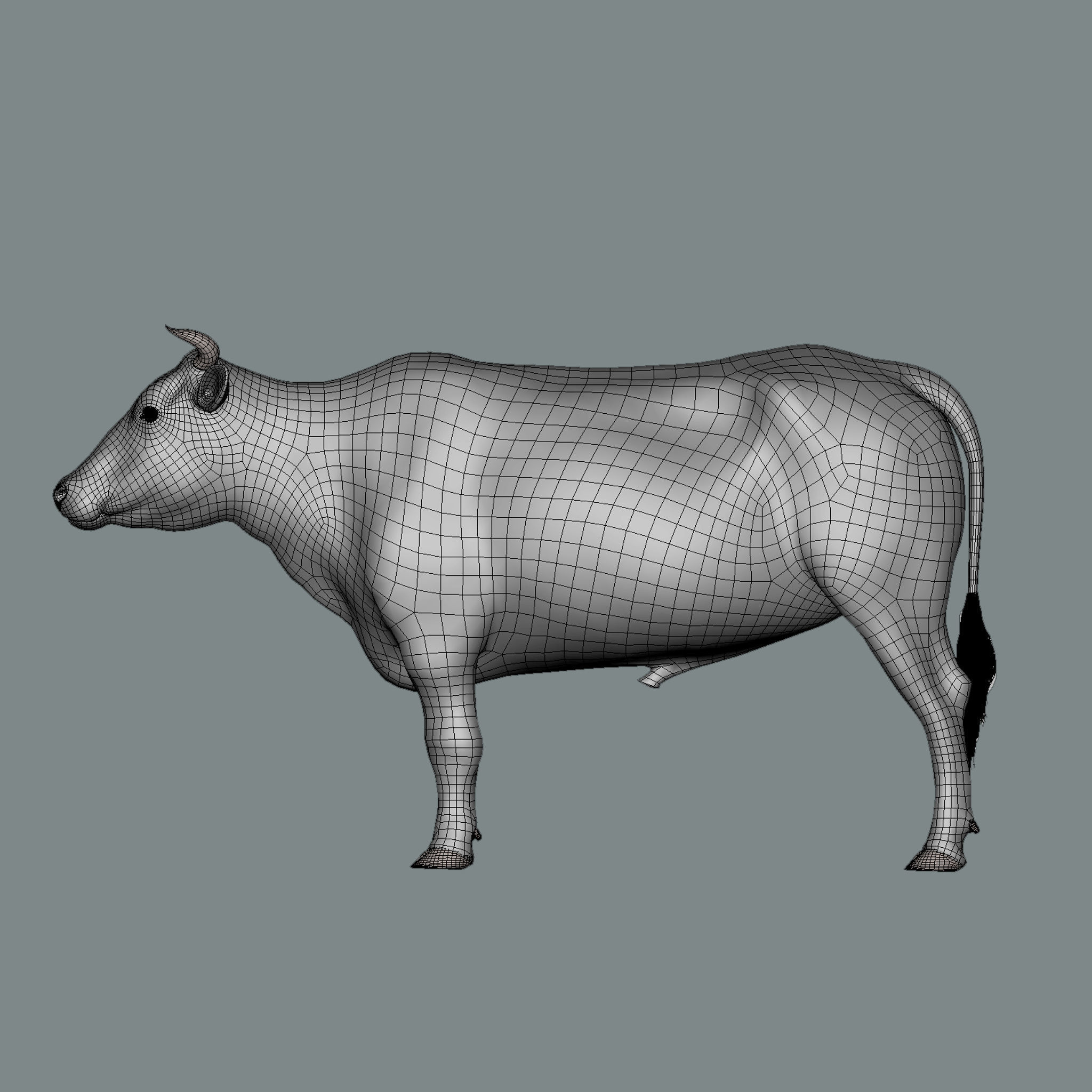 Bull  3d Model 3D model_8