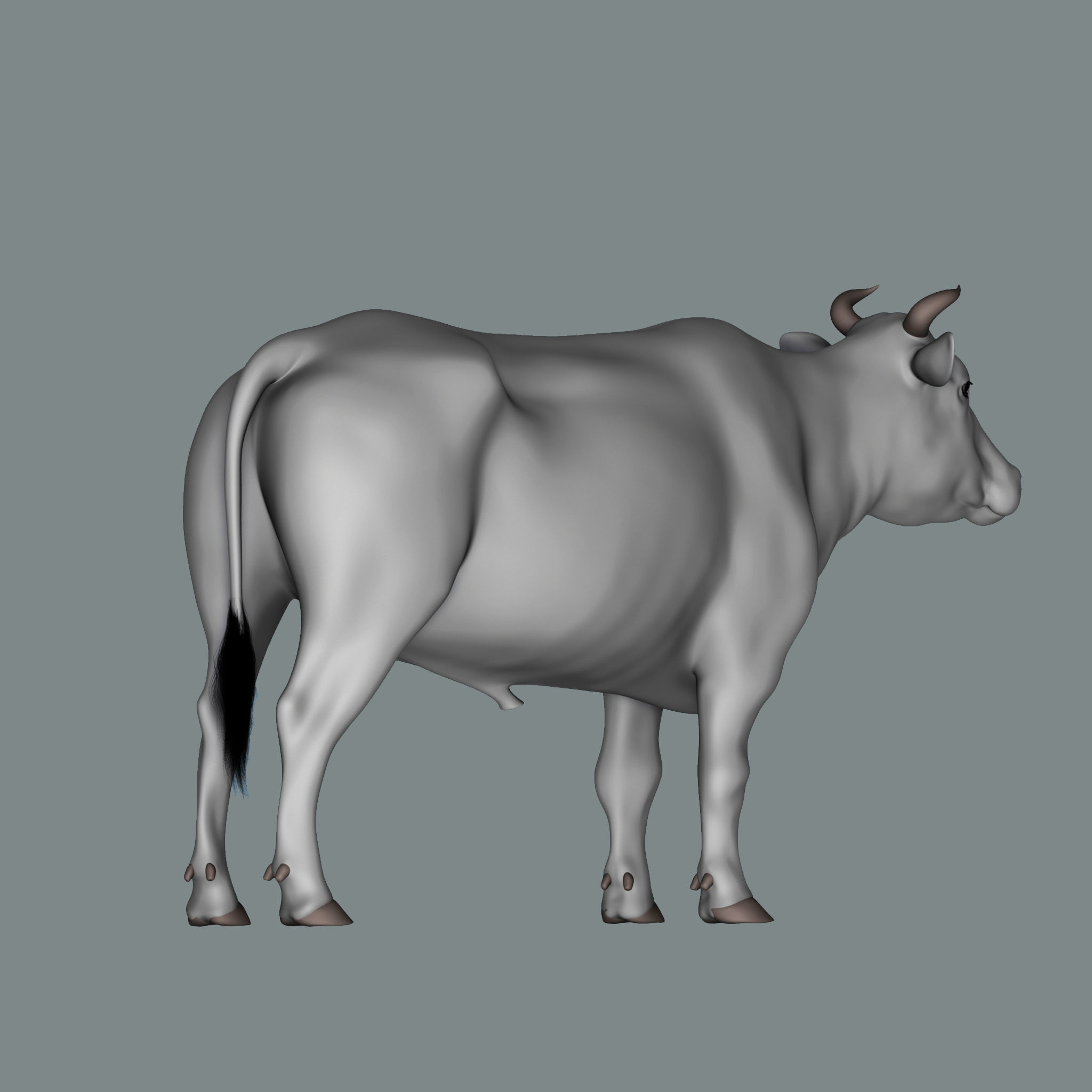 Bull  3d Model 3D model_7