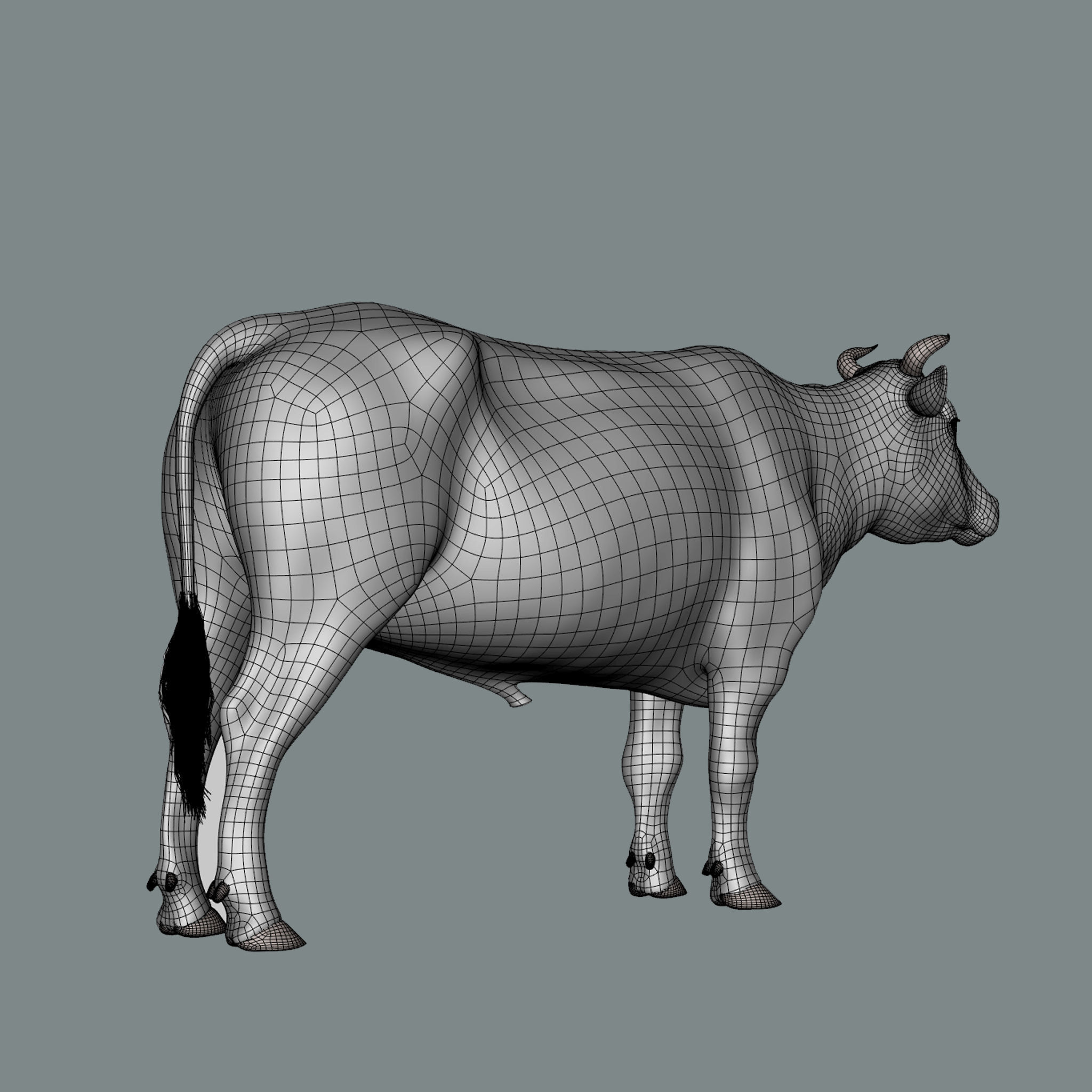 Bull  3d Model 3D model_10
