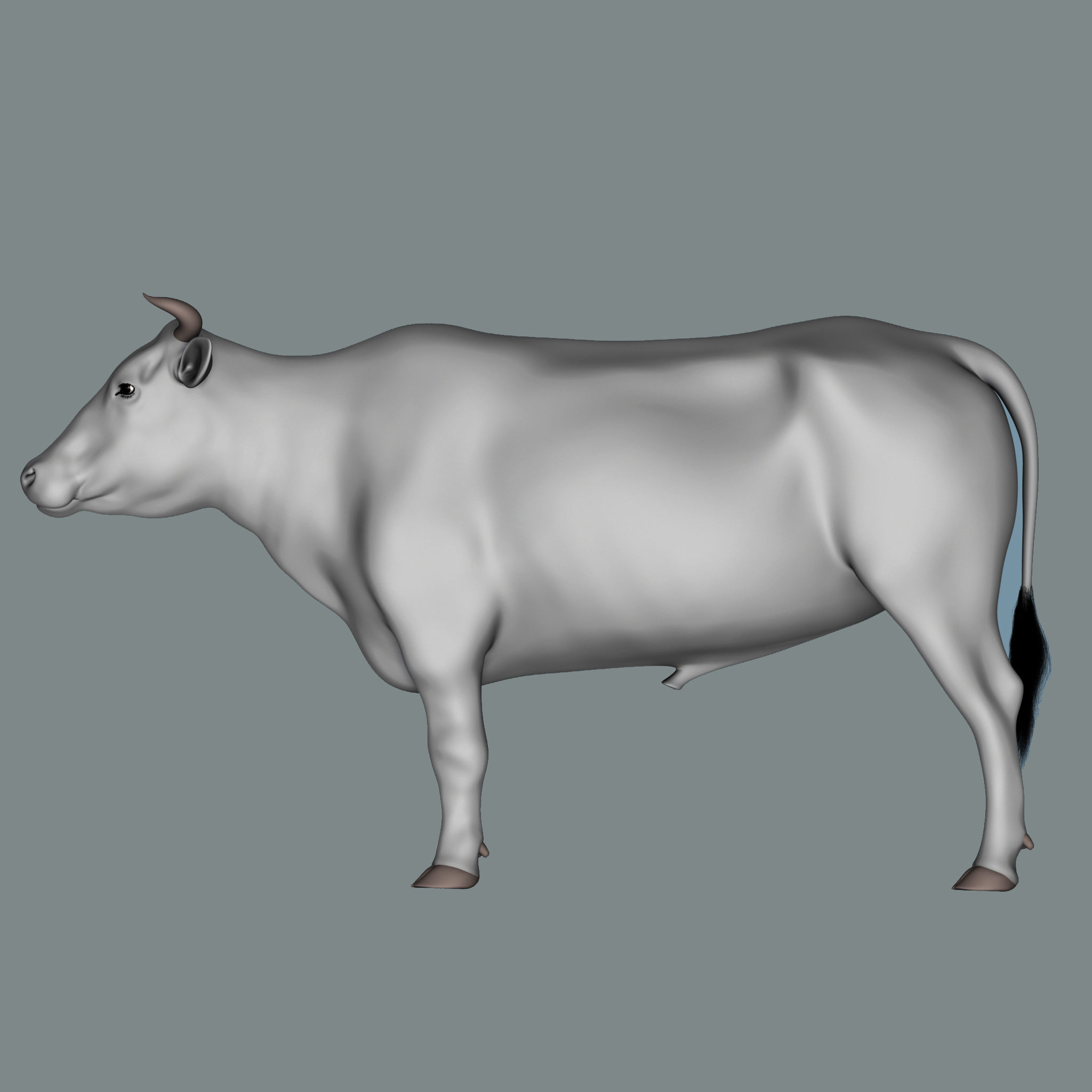 Bull  3d Model 3D model_5