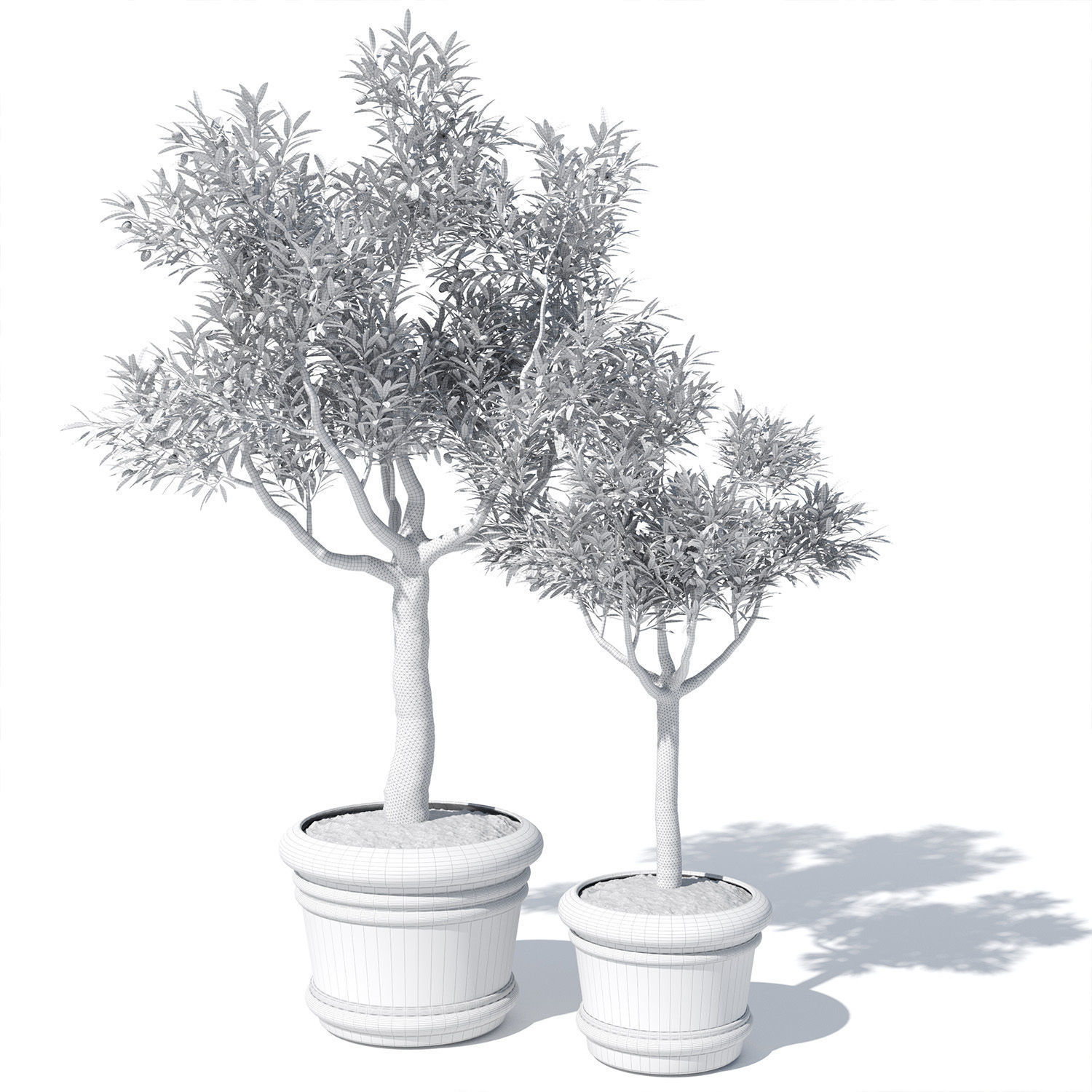 Olive tree in pot 01 3D model_6