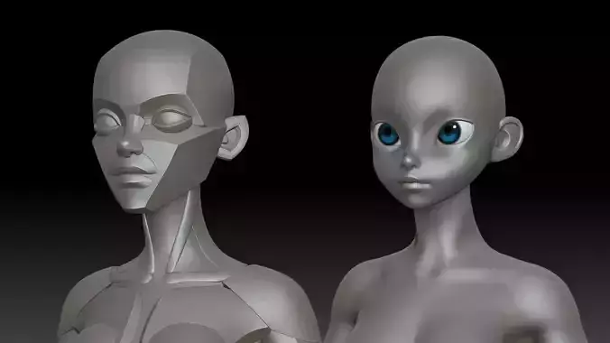 Stylized Female Anatomy Low-poly 3D model