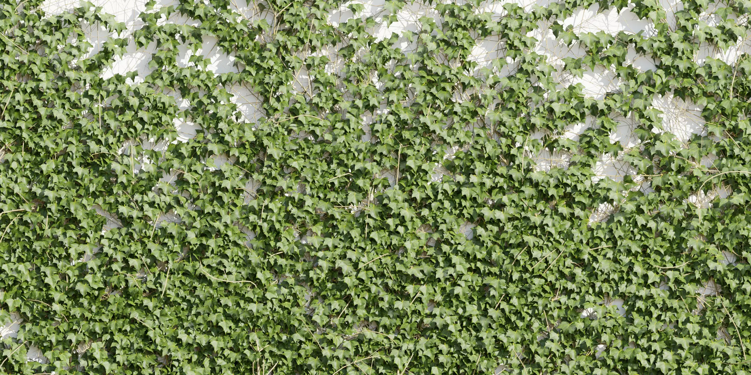 ivy for wall collection vol 101-Blender 3D model