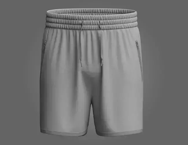 Regular Shorts 3d Model