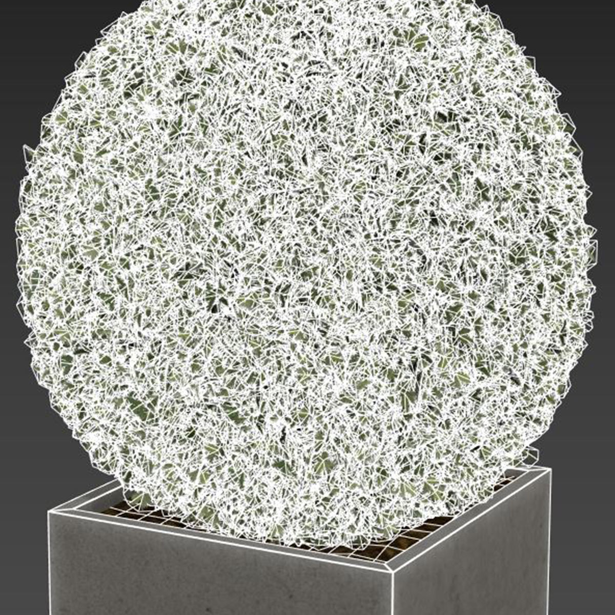 plant in pots   set 14 3D model_3