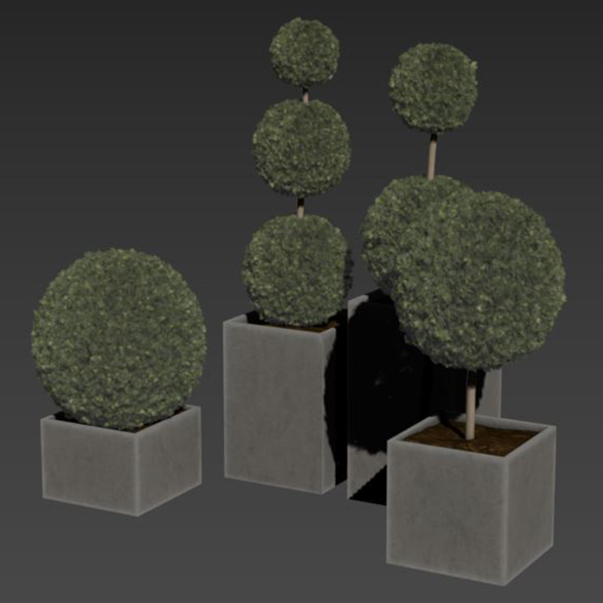 plant in pots   set 14 3D model_2