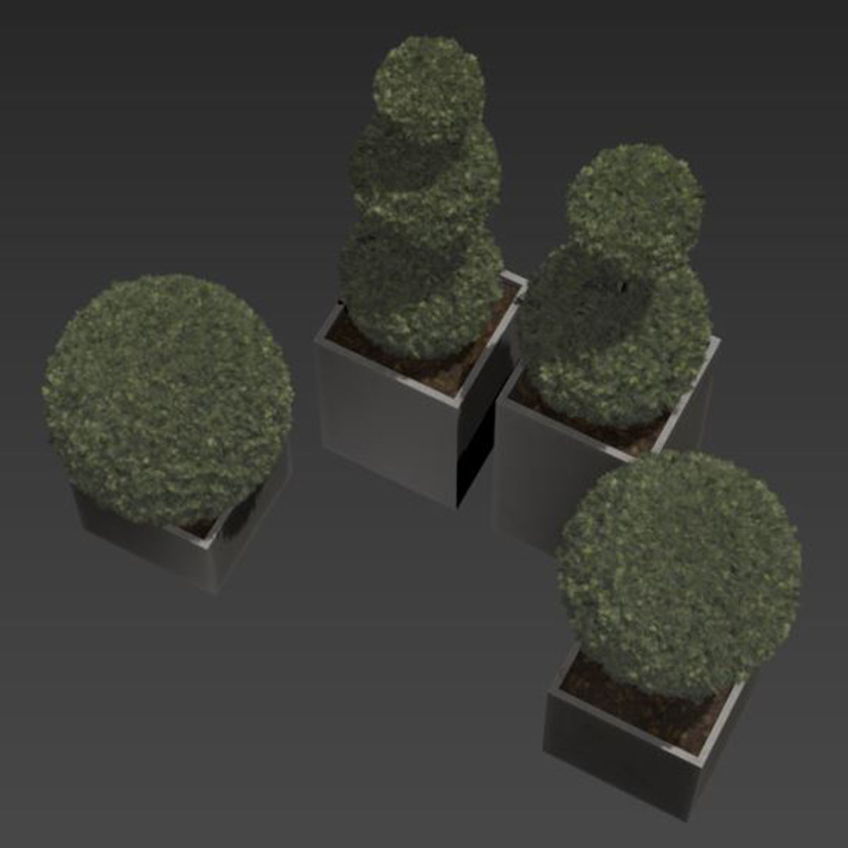 plant in pots   set 14 3D model_6
