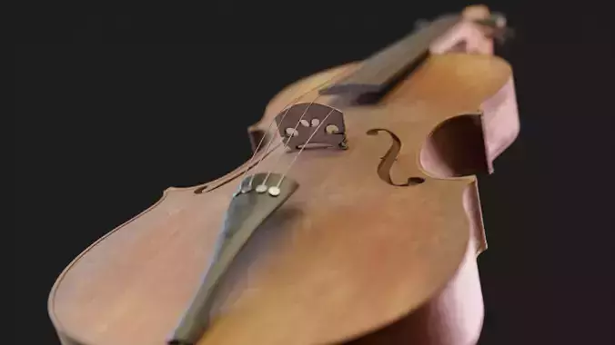 Old violin