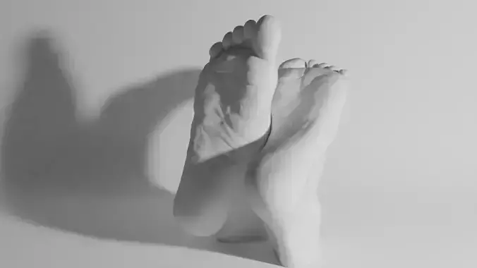 Female feet sculpture 3D model