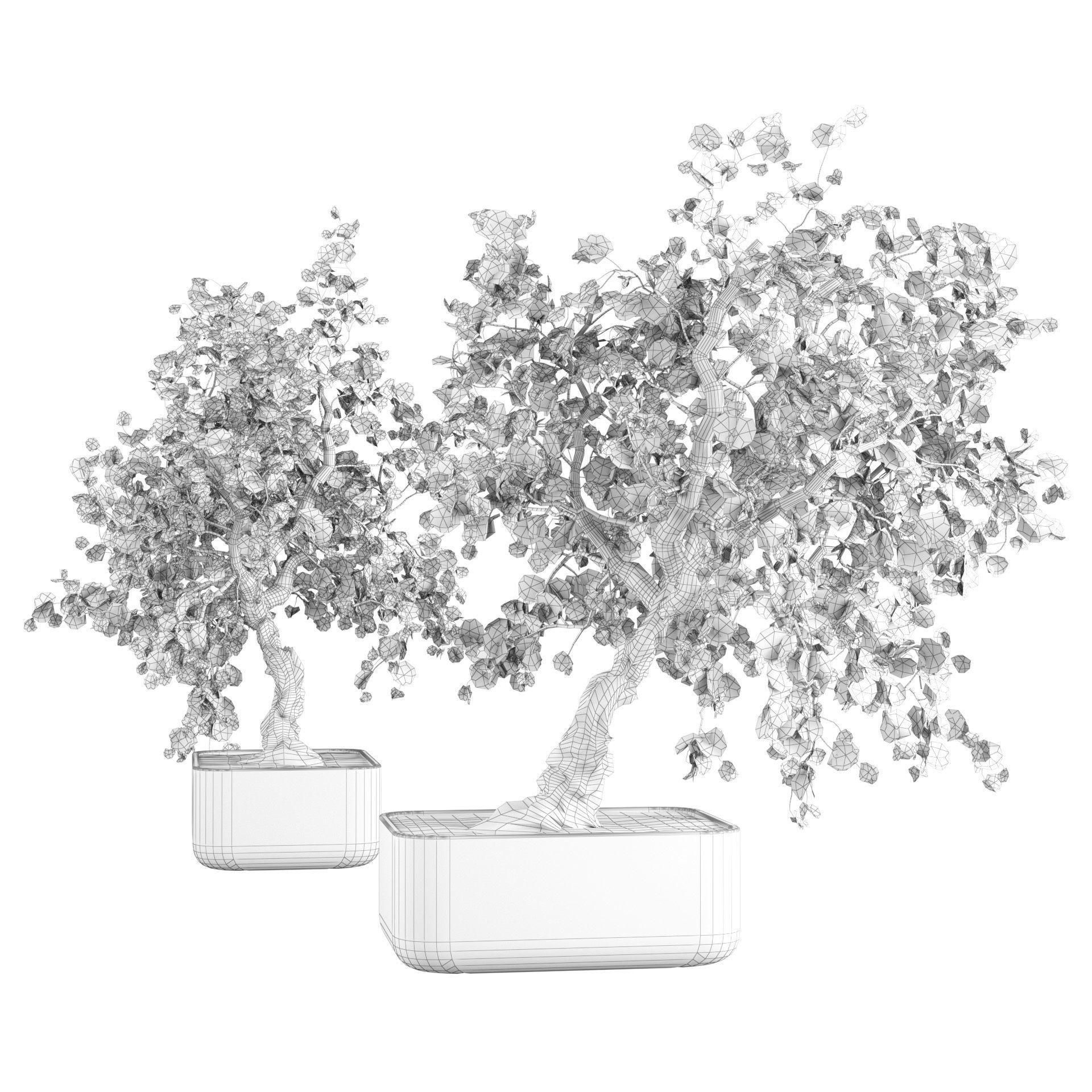 fall and green bonny bonsai pot trees Low-poly 3D model_5