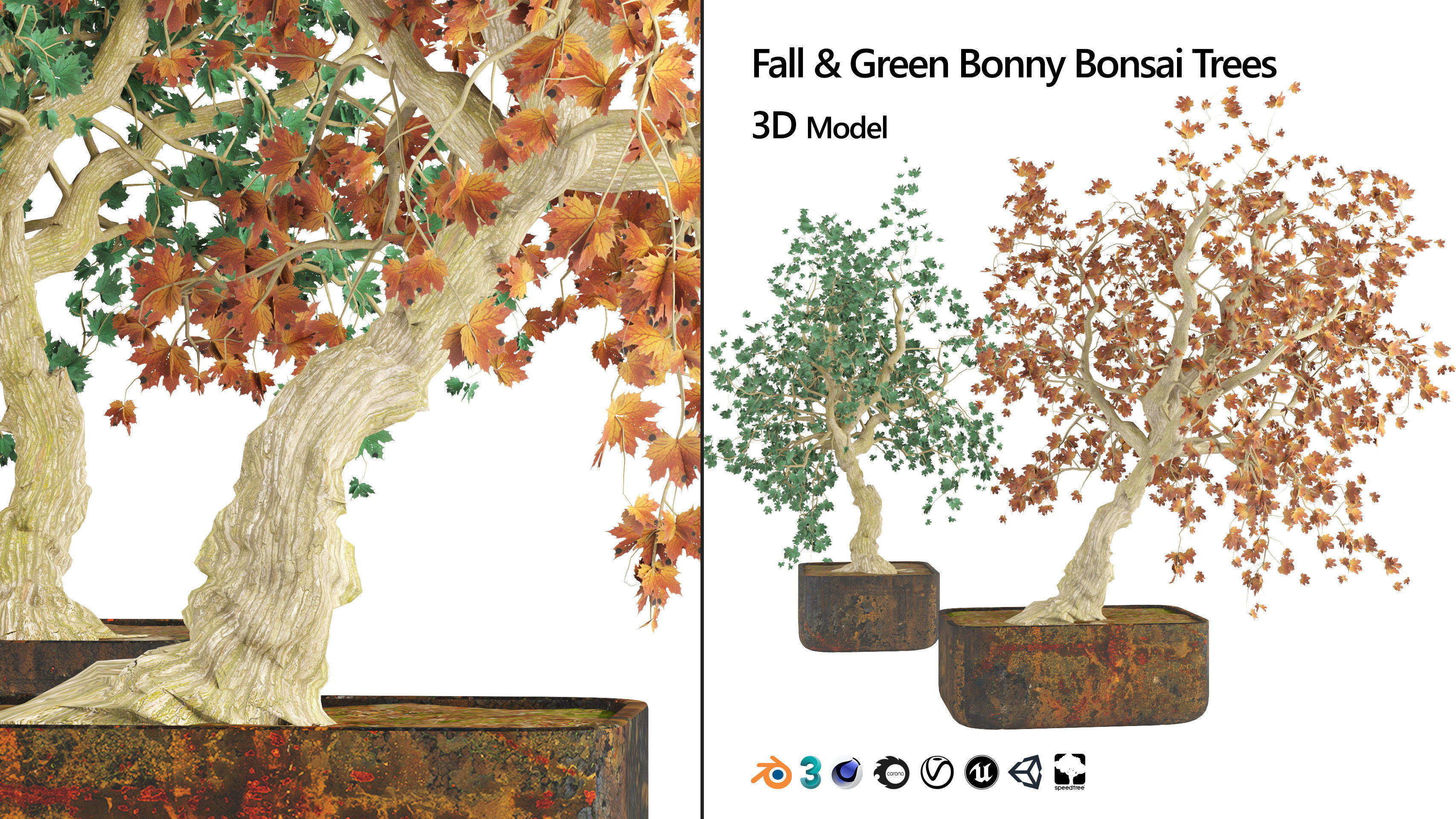 fall and green bonny bonsai pot trees Low-poly 3D model_7