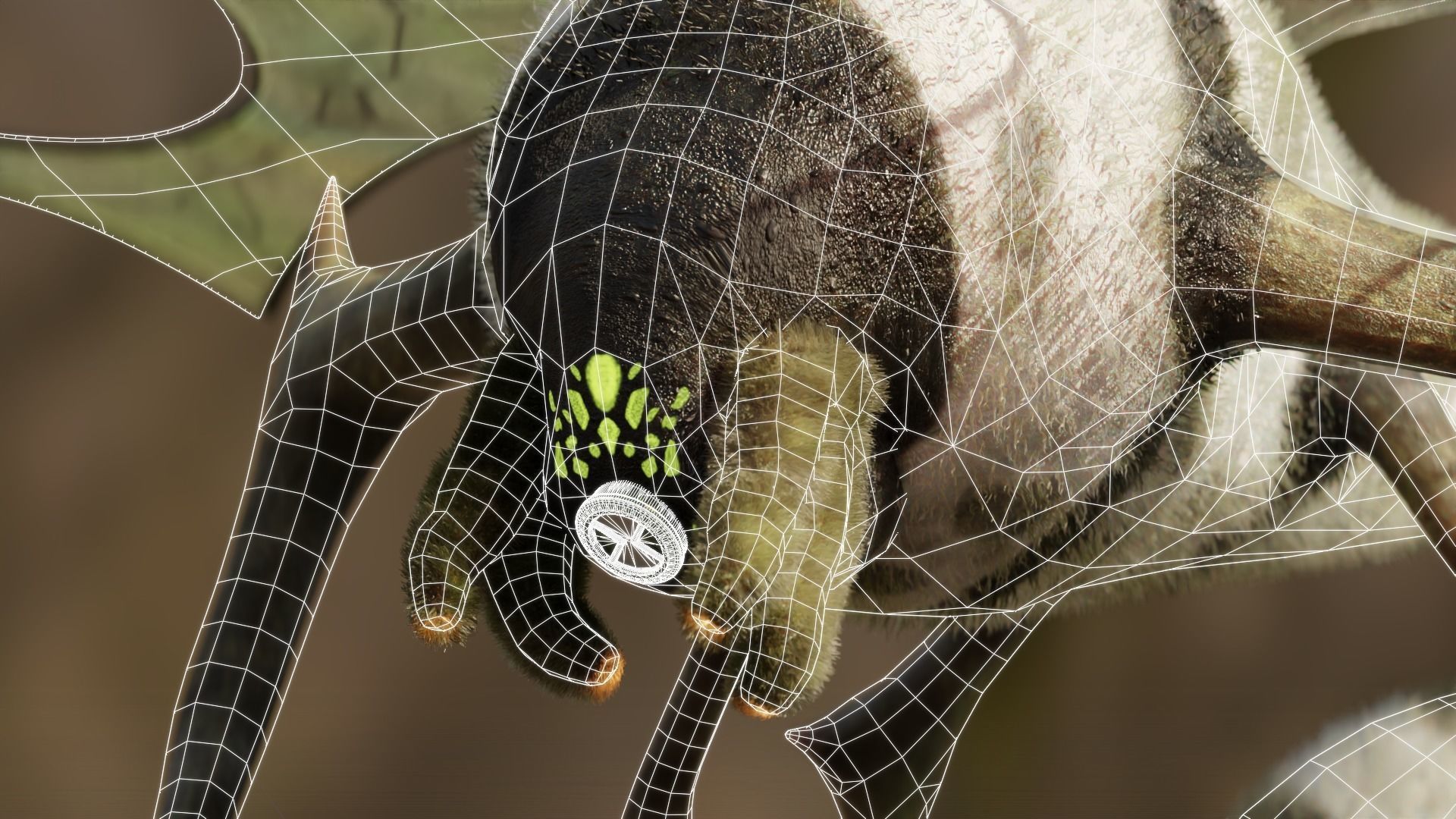 Ben 10 Stinkfly Classic with Wings Animation Low-poly 3D model_4