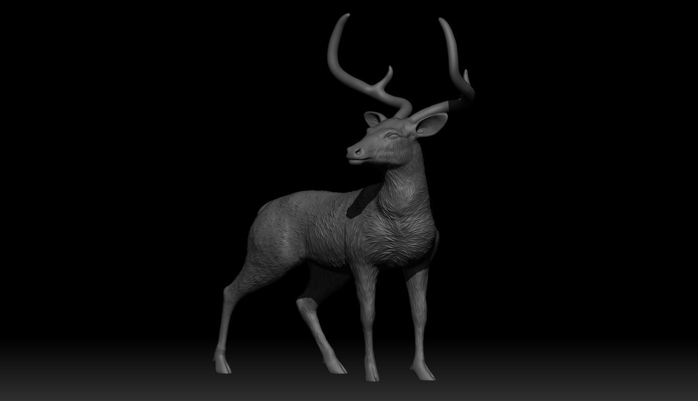 Chinkara Deer  3D print model_2