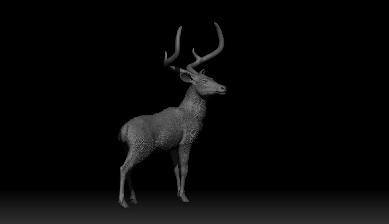 Chinkara Deer  3D print model_4