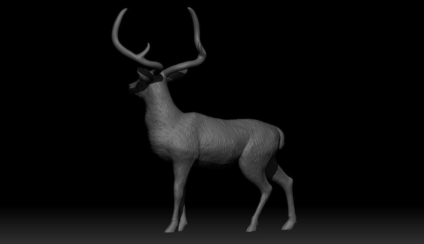 Chinkara Deer  3D print model_3