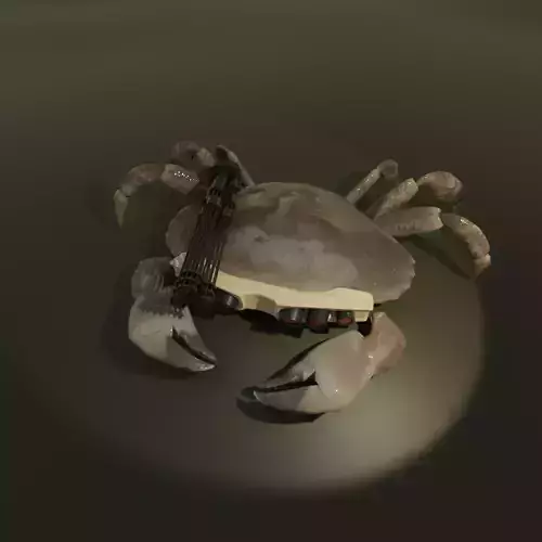 Cyber Crab 3D model