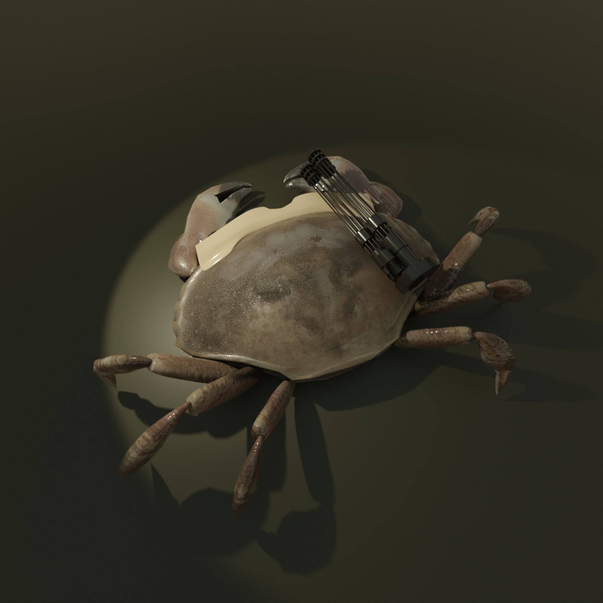 Cyber Crab 3D model_3