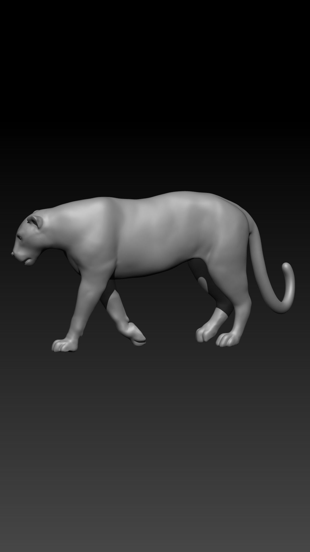 Leopard 3D print model_2