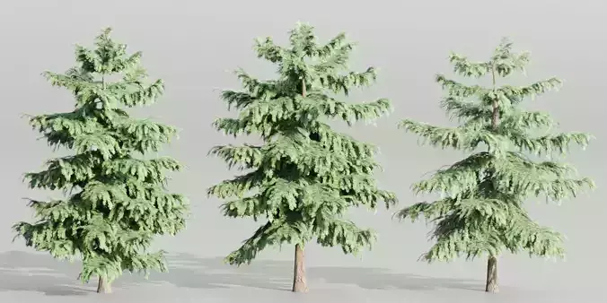 Pine trees collection vol 107-Blender 3D model