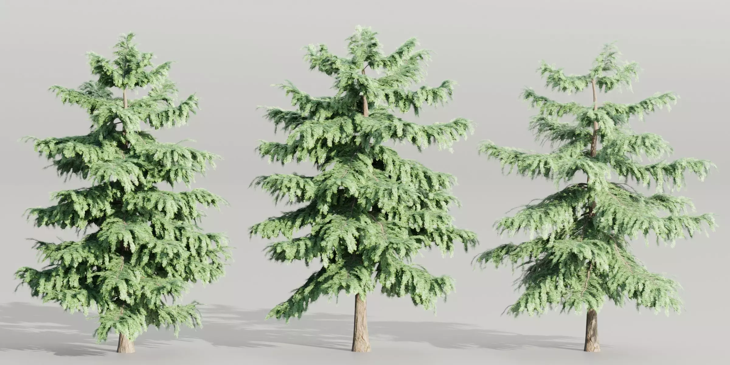 Pine trees collection vol 107-Blender 3D model_0