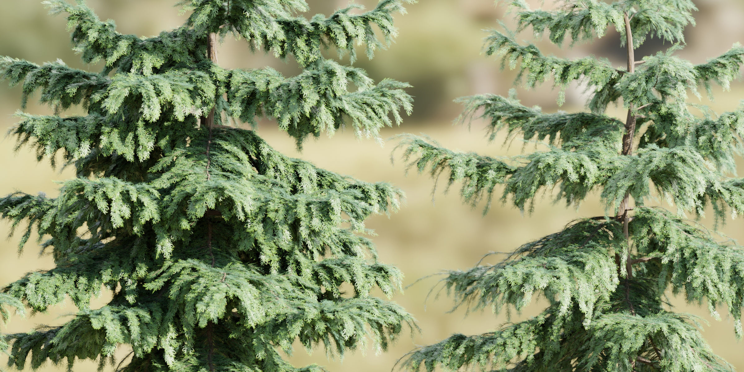 Pine trees collection vol 107-Blender 3D model_2