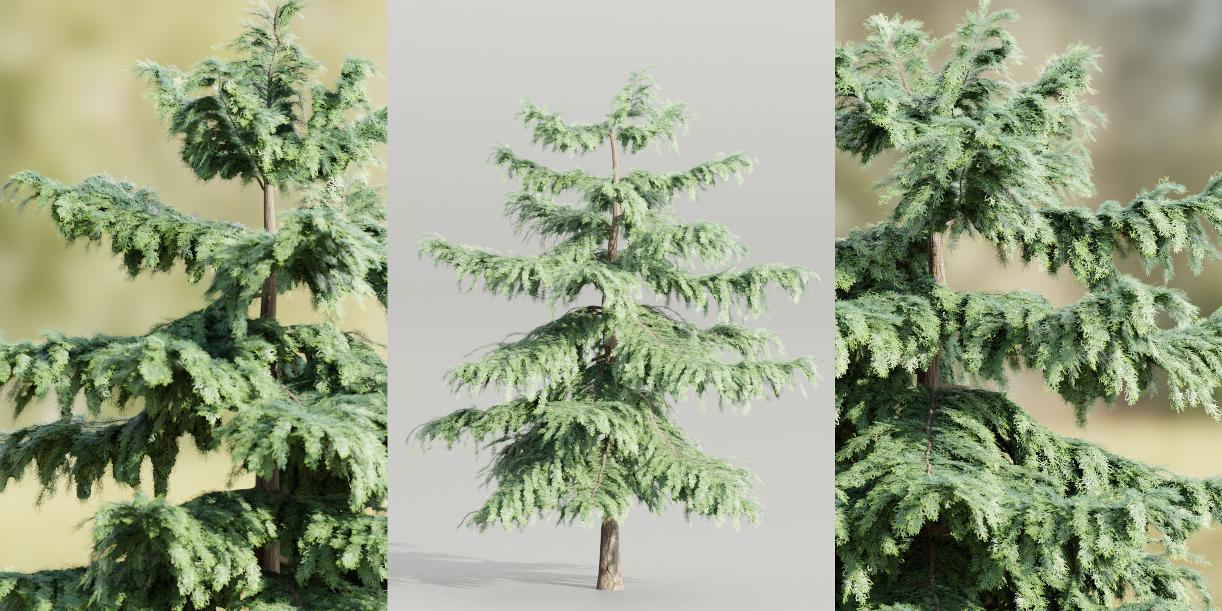 Pine trees collection vol 107-Blender 3D model_5