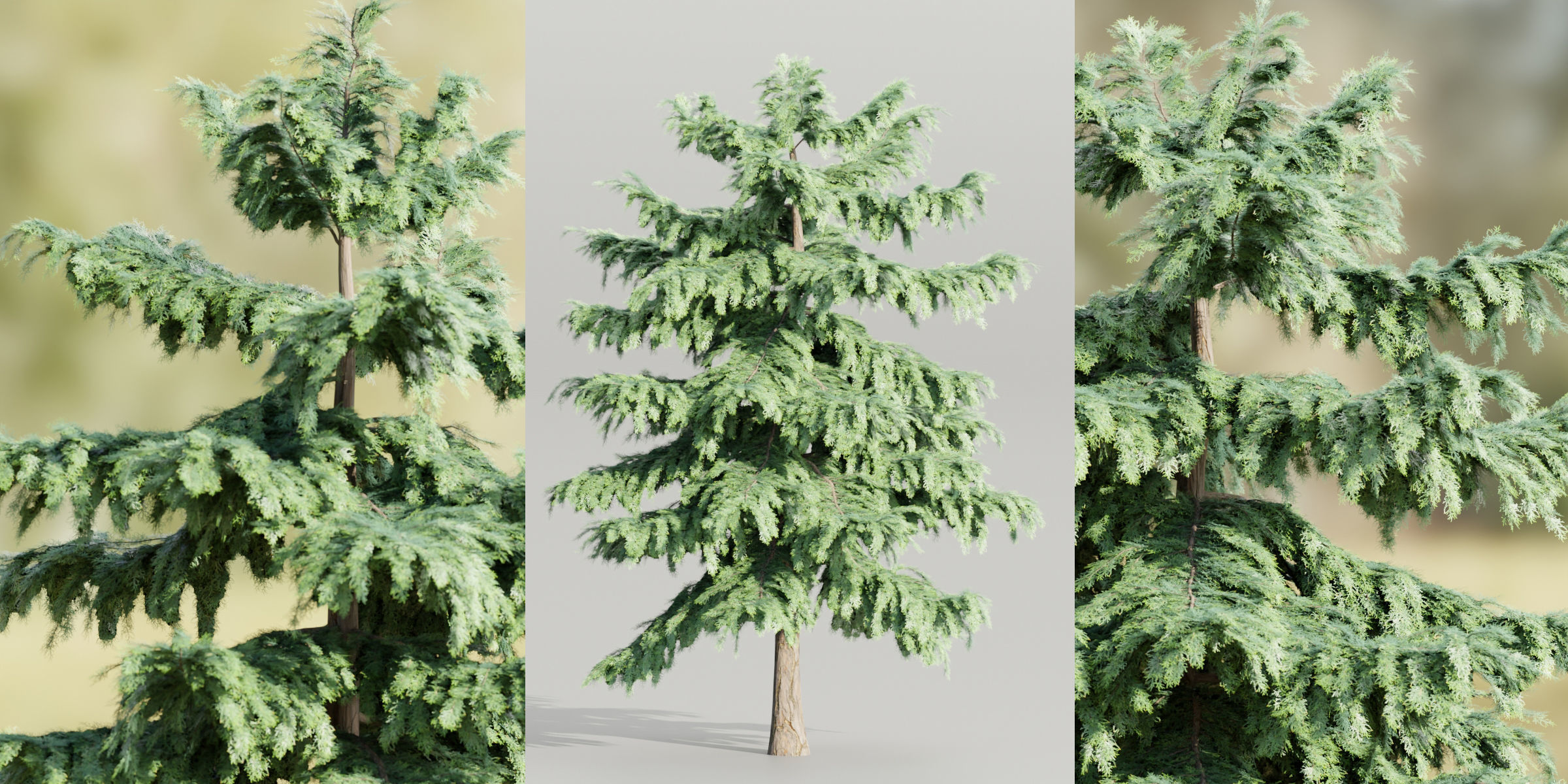 Pine trees collection vol 107-Blender 3D model_6