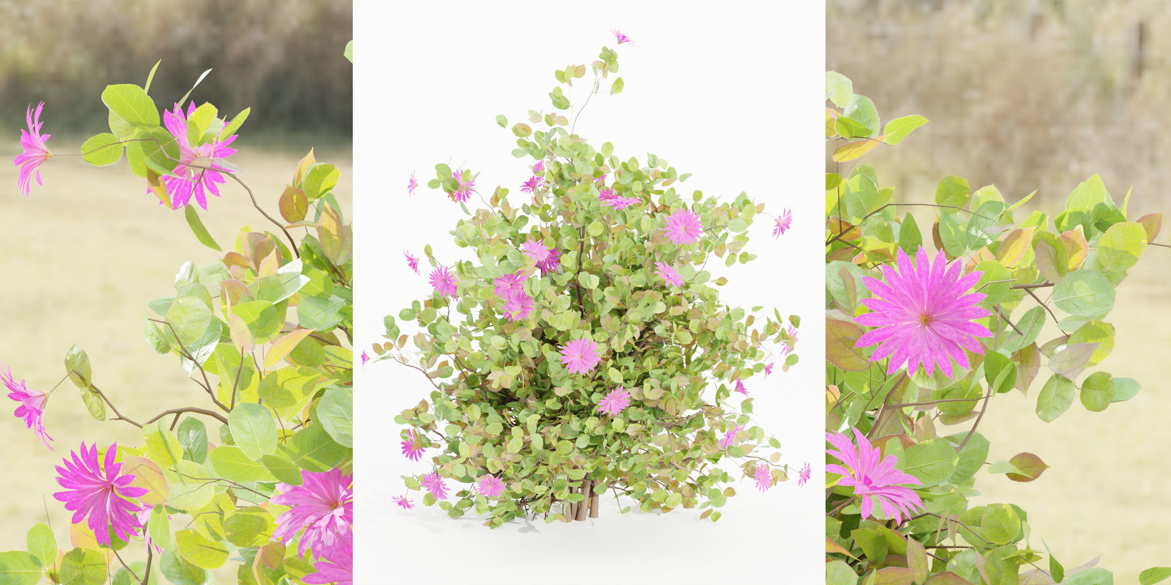 Flowering Bushes collection vol 108-Blender 3D model_9