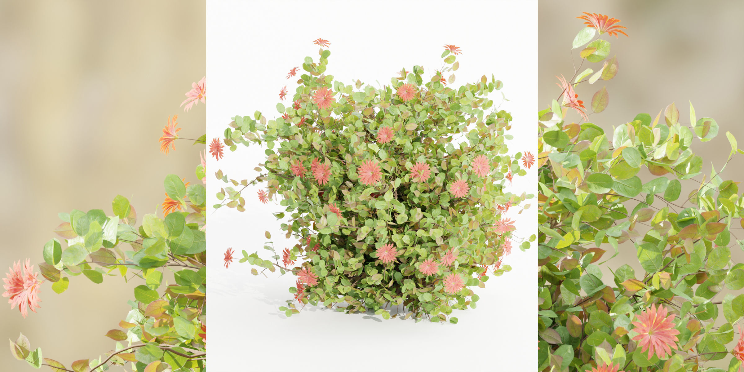 Flowering Bushes collection vol 108-Blender 3D model_11