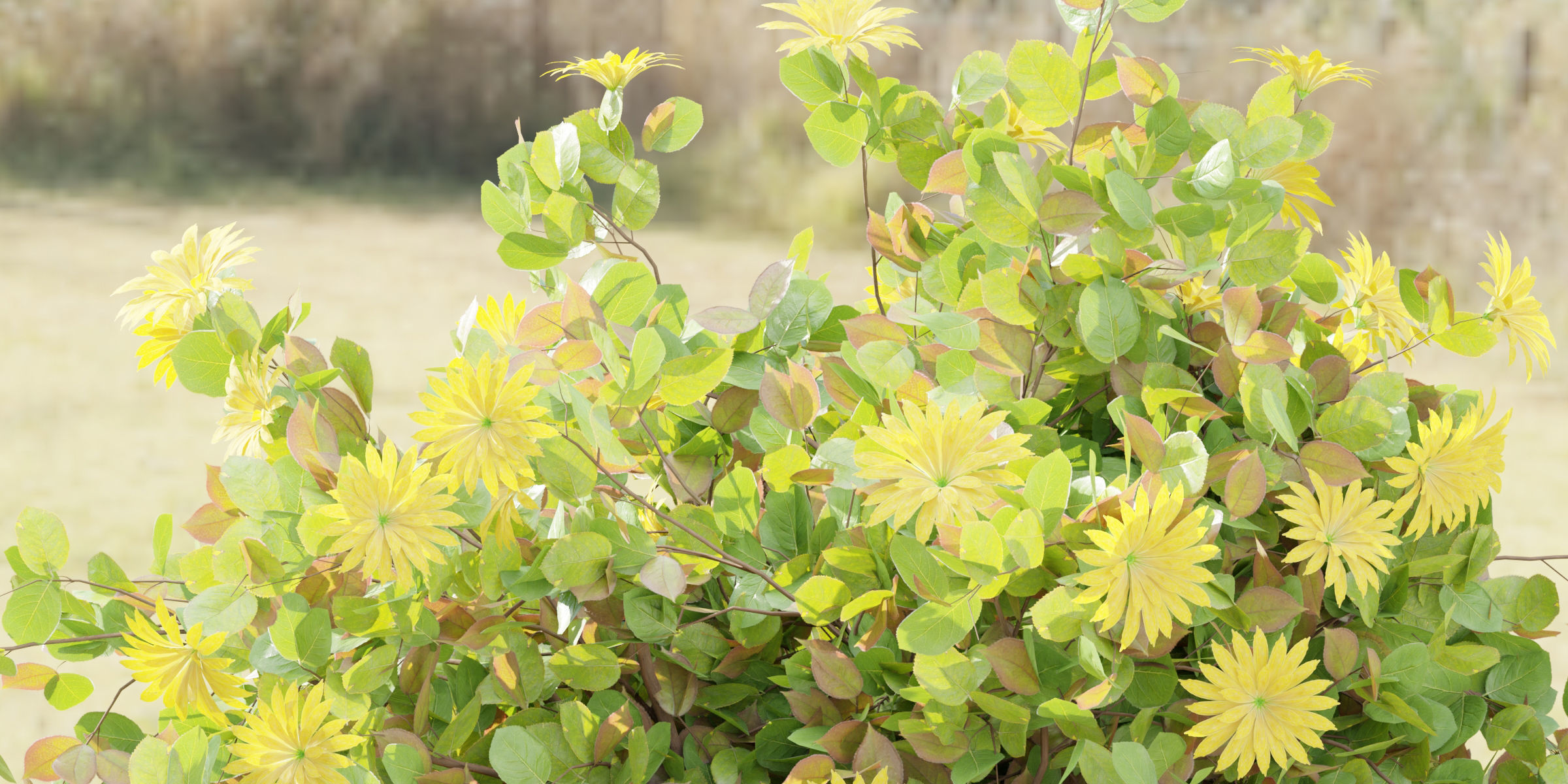 Flowering Bushes collection vol 108-Blender 3D model_1