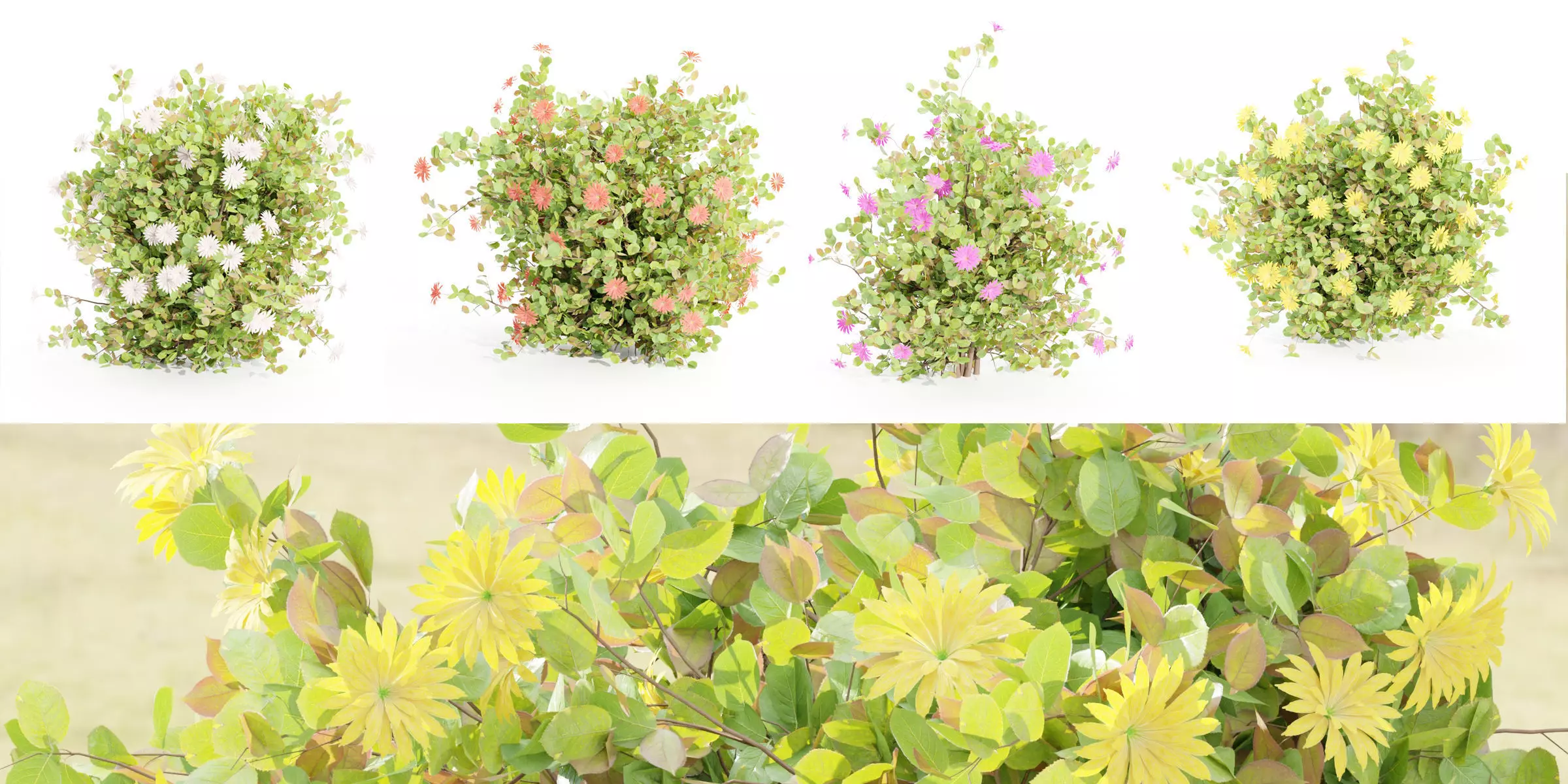 Flowering Bushes collection vol 108-Blender 3D model_0