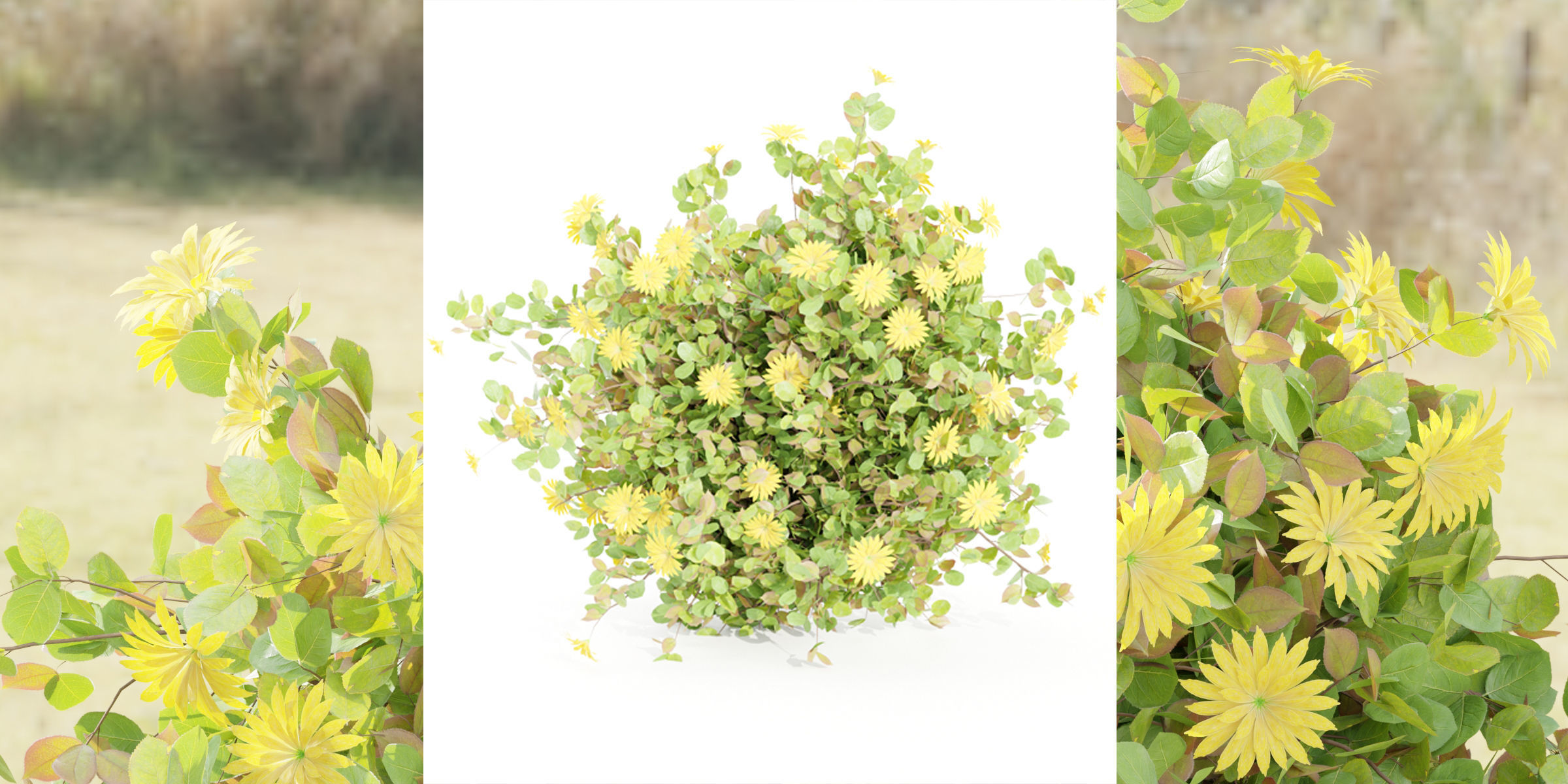 Flowering Bushes collection vol 108-Blender 3D model_8