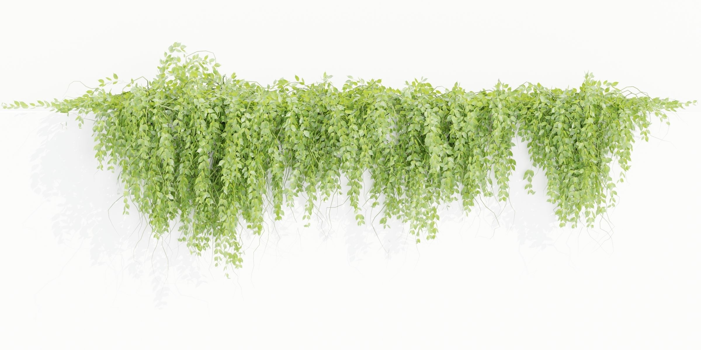 Hanging wall plants collection vol 109-Blender 3D model_6