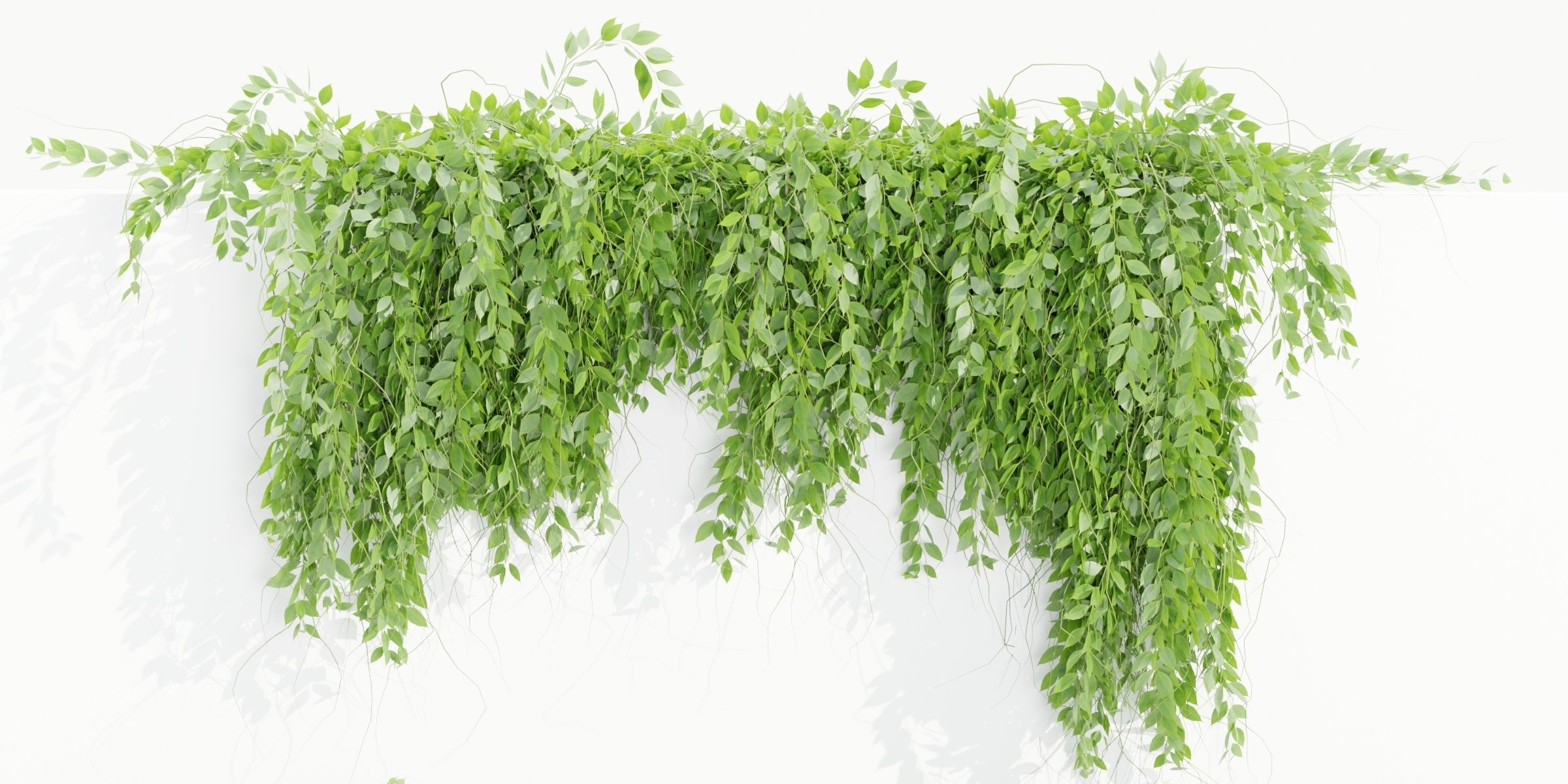 Hanging wall plants collection vol 109-Blender 3D model_4
