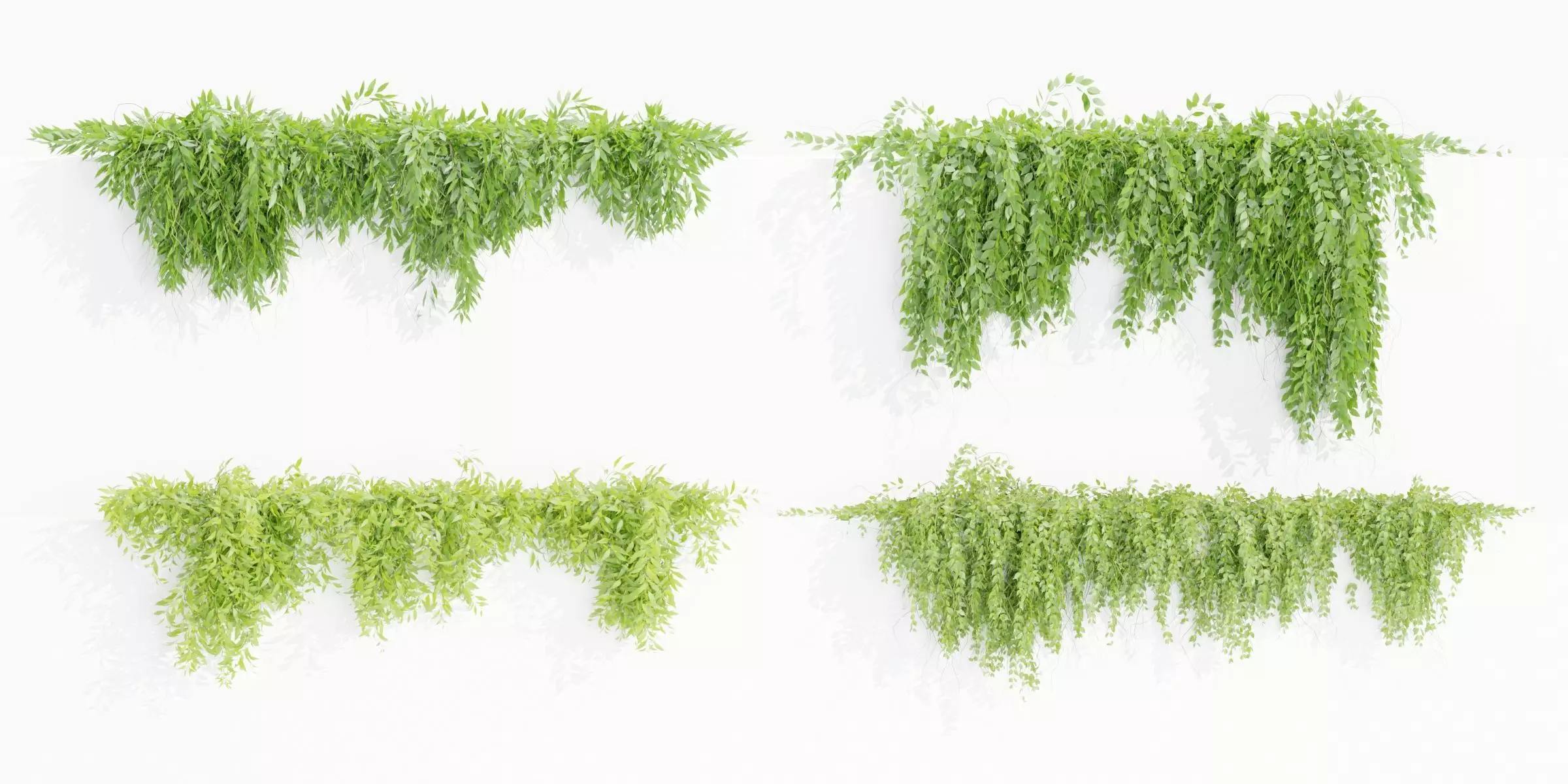 Hanging wall plants collection vol 109-Blender 3D model_0