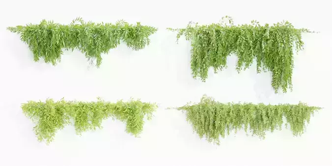 Hanging wall plants collection vol 109-Blender