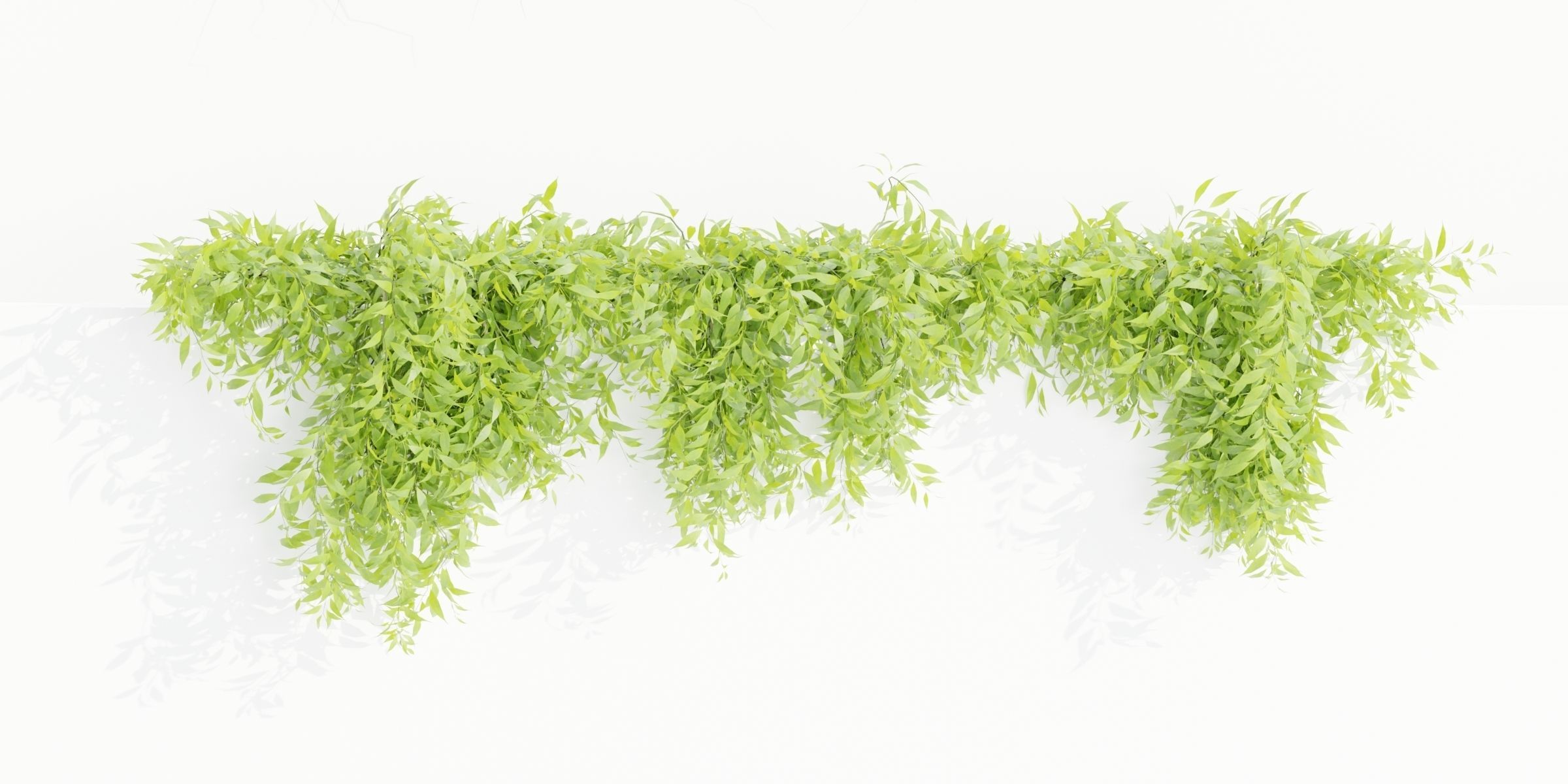Hanging wall plants collection vol 109-Blender 3D model_5