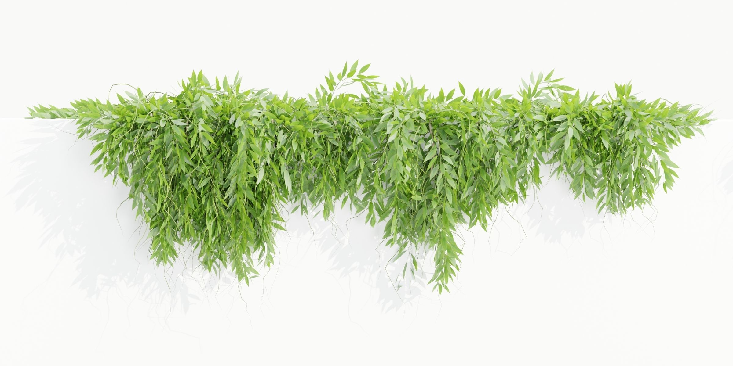 Hanging wall plants collection vol 109-Blender 3D model_3